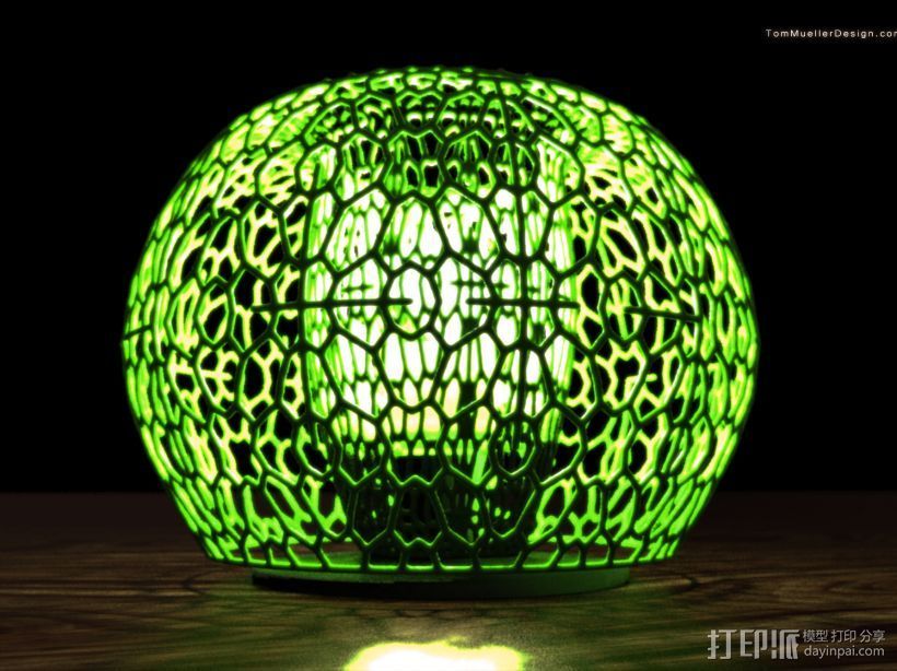 漂亮的灯罩 3D打印模型渲染图