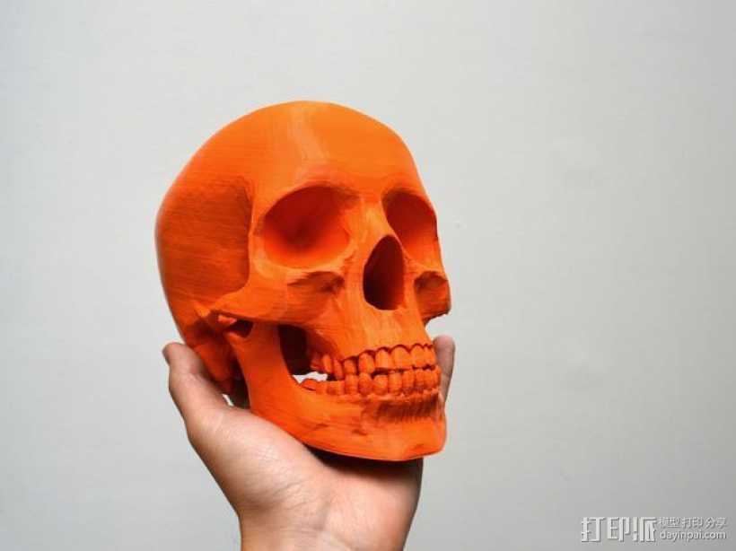 骷髅头 3D打印模型渲染图