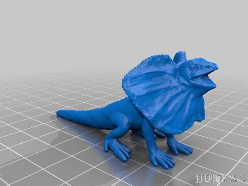 伞蜥 3D打印模型渲染图
