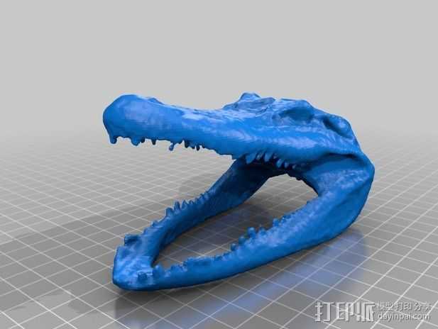 鳄鱼头 3D打印模型渲染图