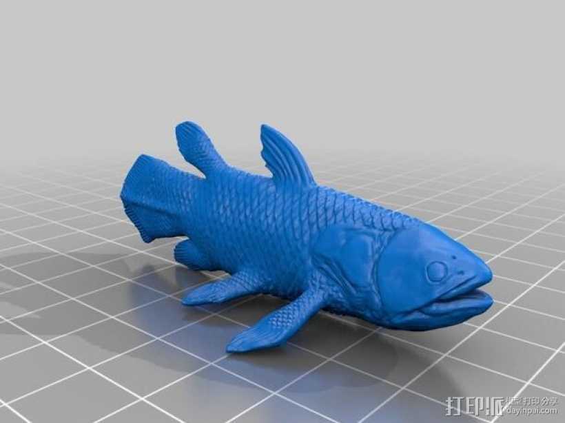 腔棘鱼模型 3D打印模型渲染图