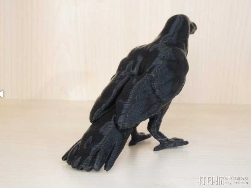 乌鸦模型 3D打印模型渲染图
