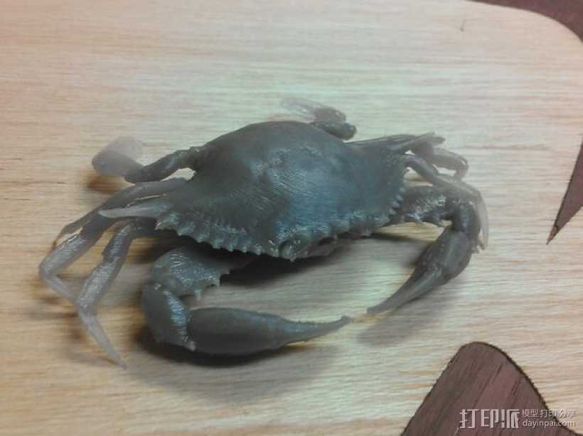螃蟹模型 3D打印模型渲染图