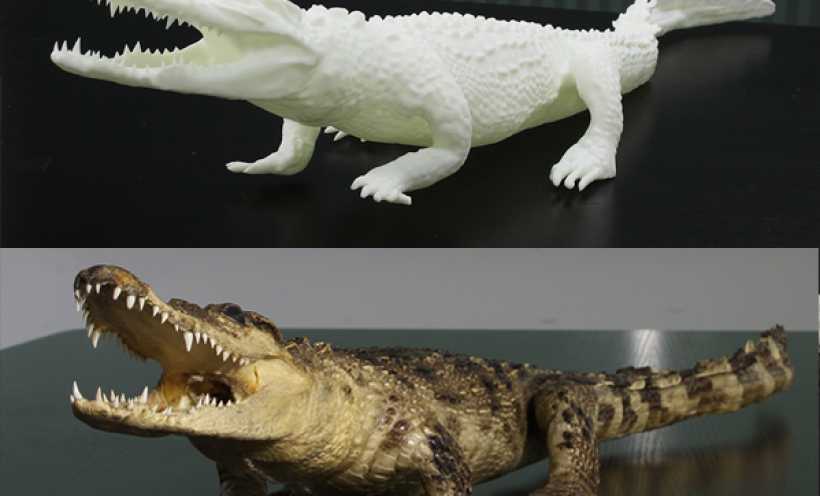 3D目目打印鳄鱼上色效果 3D打印实物照片