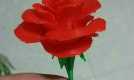 玫瑰花 3D打印图片