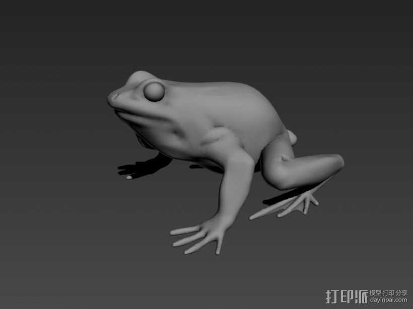 青蛙 3D打印模型渲染图