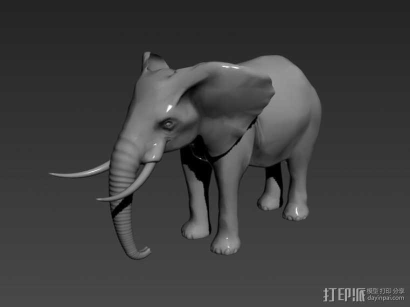 大象 3D打印模型渲染图