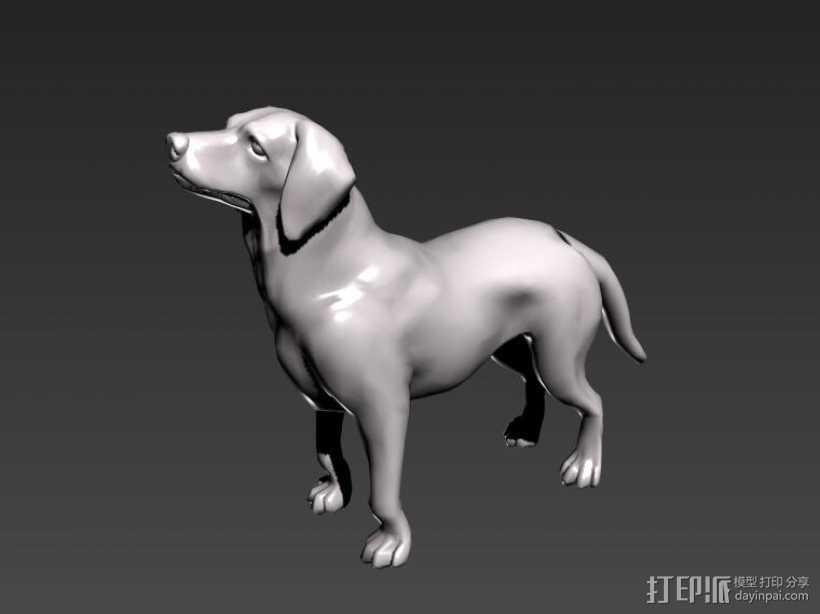 狗 3D打印模型渲染图