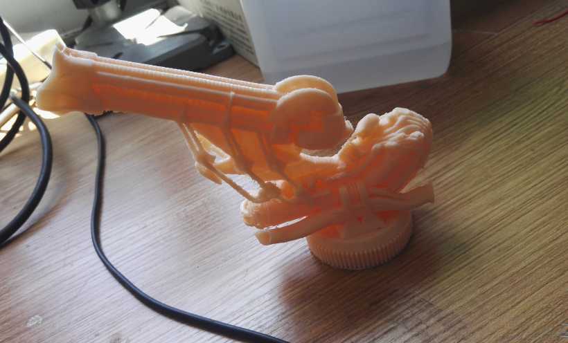 异性造物主 3D打印实物照片
