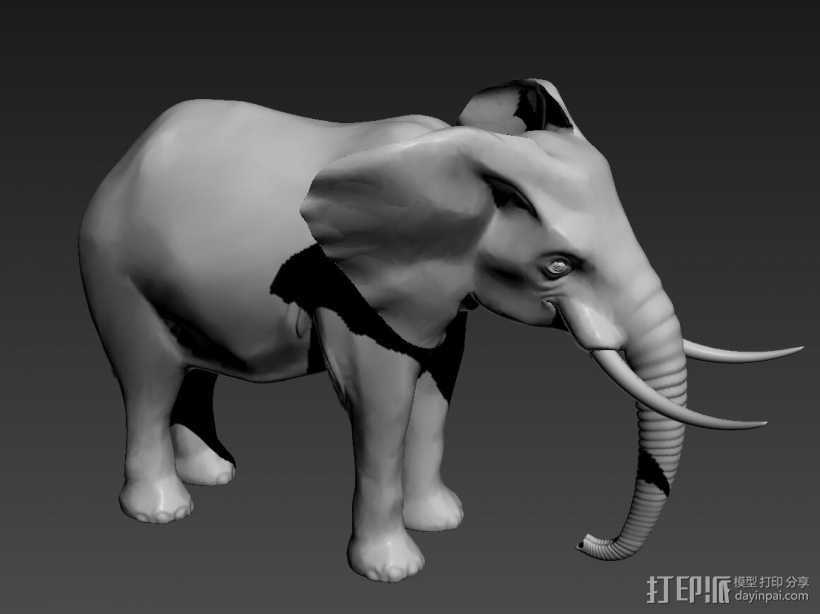 非常精致的大象 祖马象 模型 3D打印模型渲染图
