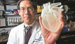 全球首个3D打印柔性心脏诞生 3D打印概念股迎风口