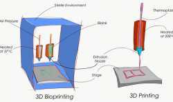 QUT的研究表明生物3D打印墨水对药物研发有很大帮助