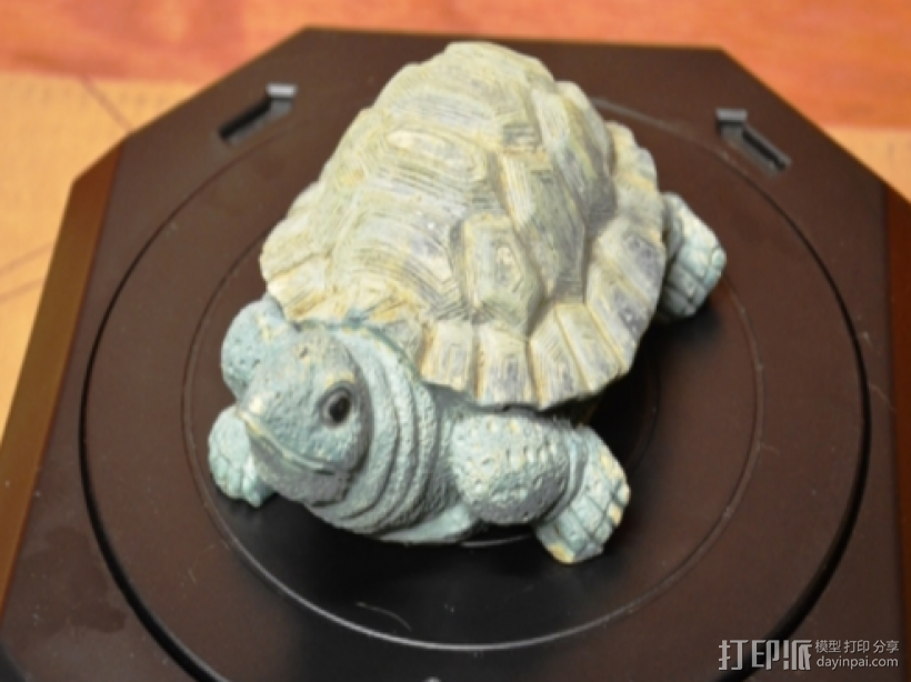 凝视的乌龟 3D打印模型渲染图