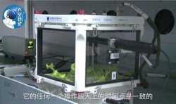 宇航员的重大福利！中国科学家成功利用3D打印在微重力环境下种植生菜