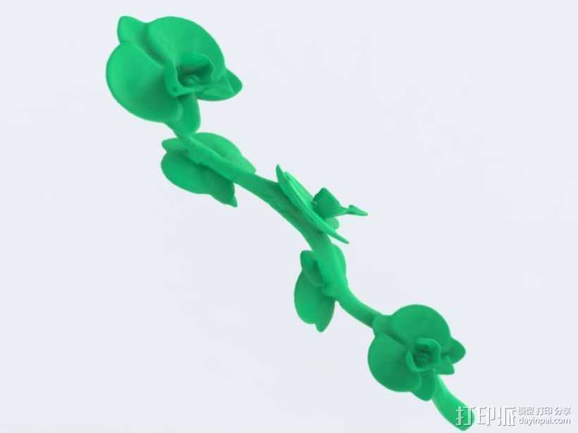 一株兰花 3D打印模型渲染图