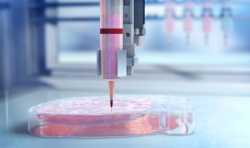BioLife4D申请募集5000万美元资金 用于将3D打印心脏商业化