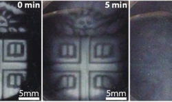 布朗大學(xué)工程師開(kāi)發(fā)出能制造“按需降解”的3D打印生物材料的技術(shù)