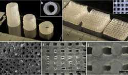 科学家用Laponite粘土制造出3D打印生物墨水 可用于3D生物打印支架