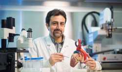 加拿大科学家正在研究3D打印心脏“补丁” 可能颠覆心脏病治疗方法