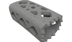 ChoiceSpine LP和Nexxt Spine的3D打印脊柱植入物均获得FDA批准