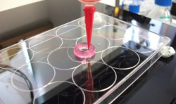 3Dynamic Systems宣布将其3D生物打印血管支架商业化