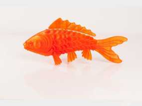 金鱼3d模型