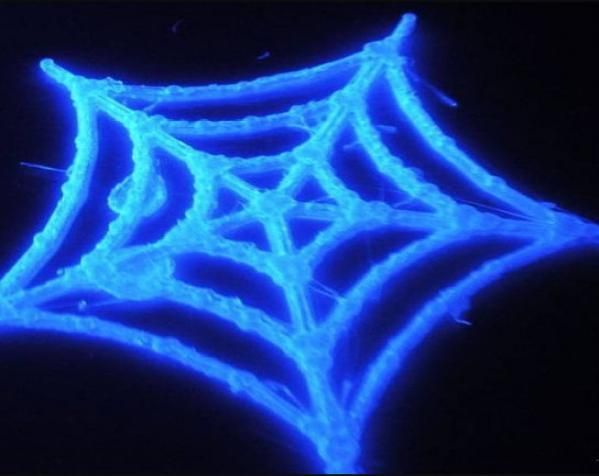 蜘蛛网3d模型 3D打印模型渲染图