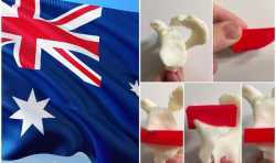 澳大利亚药物管理局计划对定制3D打印医疗设备的规定进行修改