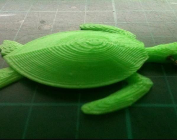 大海龟钥匙扣 3D打印模型渲染图