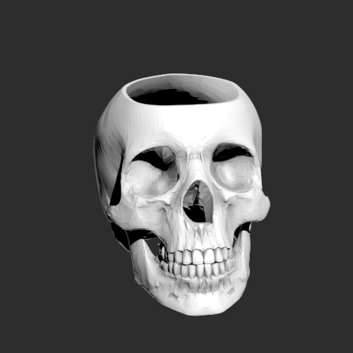 人体头骨模型 3D打印模型渲染图