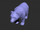 大灰熊的模型