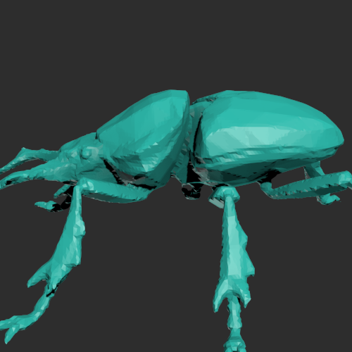 一只甲壳虫模型 3D打印模型渲染图