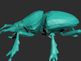 一只甲壳虫模型