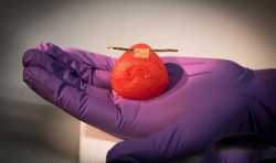 明尼苏达大学研究员成功运用3D打印制造出器官复制品