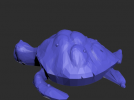 海龟模型一只