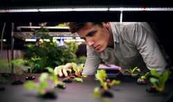 Farmshelf公司为城市农业系统使用高性价比的定制3D打印部件
