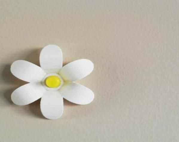 纯洁的小白花 3D打印模型渲染图