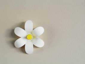 纯洁的小白花