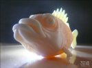 大嘴鱼3d模型