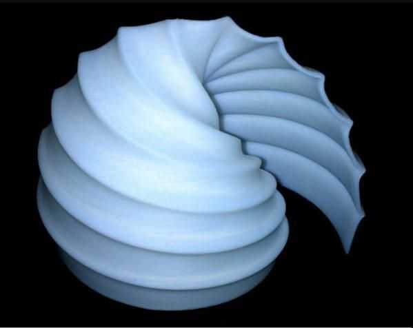 白色大海螺模型 3D打印模型渲染图
