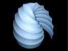 白色大海螺模型