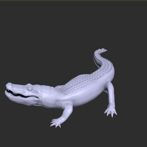 鳄鱼模型玩具 3D打印模型渲染图