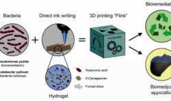 苏黎世联邦理工学院研究员开发出含有多种细菌的生物3D打印墨水