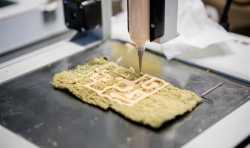 迪肯大学用定制的3D打印食物为吞咽障碍患者进行实验