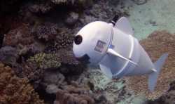 麻省理工学院研发出3D打印机器人“SoFi”鱼，可能是未来的水下观测