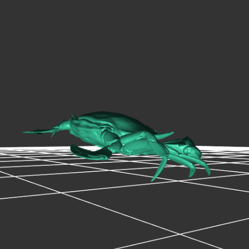 螃蟹 水生物 模型 大闸蟹 3D打印模型渲染图