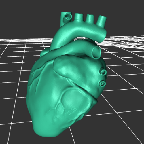 心脏模型模型 3D打印模型渲染图