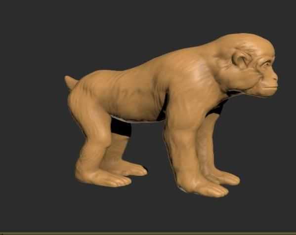 自然界猕猴模型 3D打印模型渲染图