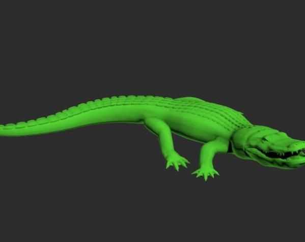 非洲鳄鱼模型 3D打印模型渲染图