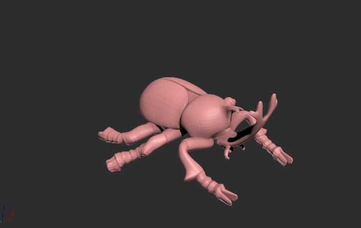 动物甲虫模型 3D打印模型渲染图